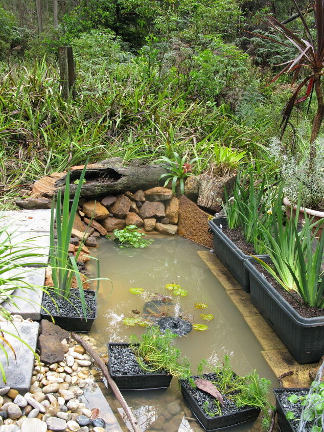 Wildlife Pond Hometalk Wildlife Pond Hometalk