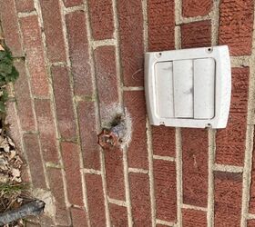 q remove leaking outdoor faucet and fix moldy concrete wall
