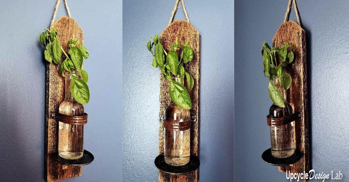 Plant Propagation / Hanging Wall Vase / Upcycled Craft Plant Propagation / Hanging Wall Vase / Upcycled Craft