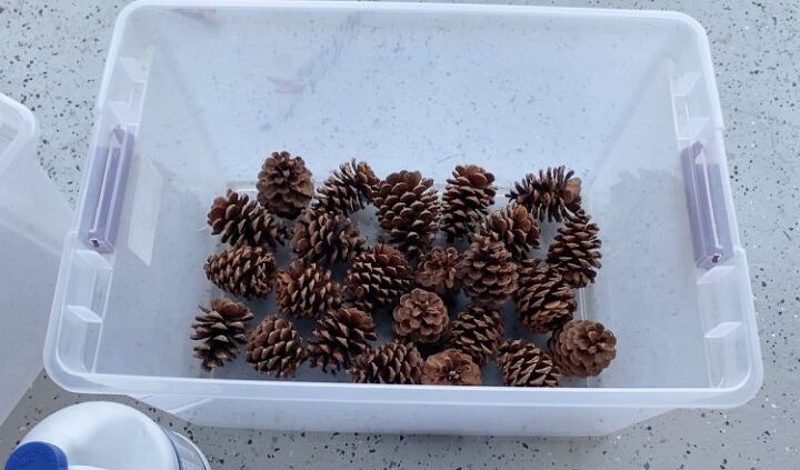 how to bleach pinecones