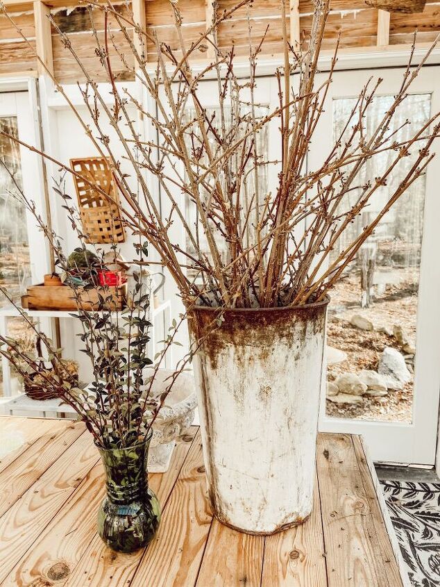 how to force blooms for winter flowers, As you can see even the bare branches look lovely in the right container I will update this post as they begin to bloom