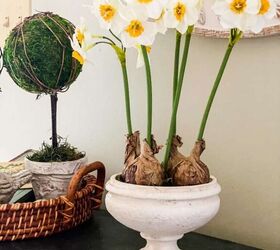 daffodil arrangement diy