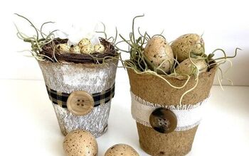 Hootshack - DIY Mini macetas con huevos - Hootshack