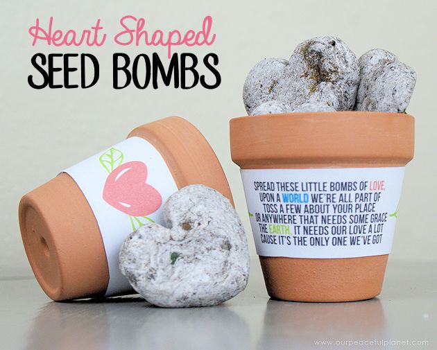 20 ideas that ll get you excited to garden again, Heart Shaped Wildflower Seed Bombs