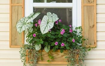  Plantadores de janela DIY - Plantadores de janela