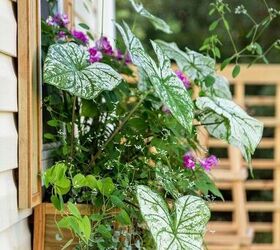 diy window boxes window flower planters