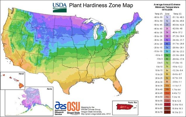 how to plant dahlia tubers, USDA Plant Hardiness Zone Finder lets you check your last average frost date for your growing zone