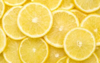Eight Reasons Why You Should Always Have Fresh Lemons on Hand