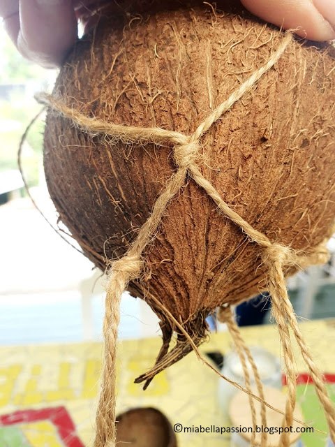 presente de natal diy plantadores suspensos com suculentas de coco