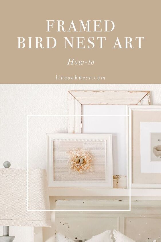 arte e artesanato em ninhos de pssaros