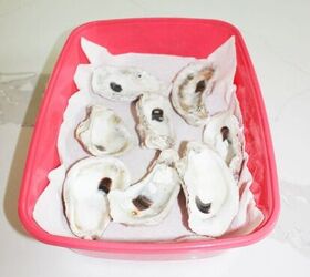 how to make a oyster shell mirror