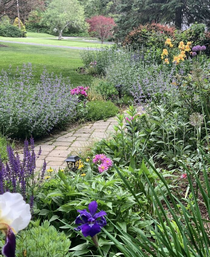 tenha um polegar verde com essas idias de jardinagem interna, Jardinagem de beija flores excurs o ao jardim de junho