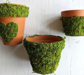 s 20 ways to update your flowers pots in time for spring, Cover them in moss for a grassy texture