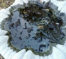 Pour vinegar into your birdbath before spring arrives