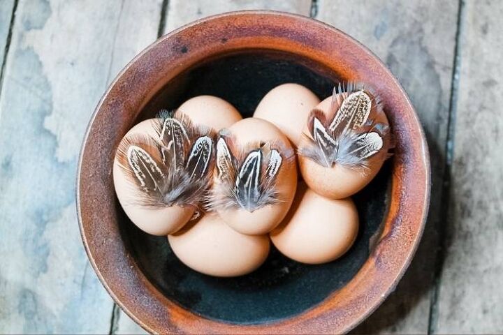 huevos de pascua de plumas diy decoracin rstica de pascua estilo granja fcil