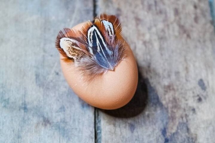 huevos de pascua de plumas diy decoracin rstica de pascua estilo granja fcil
