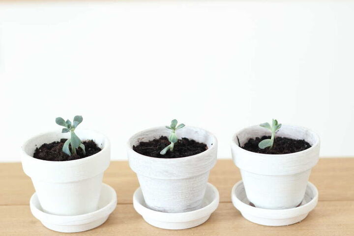 how to make newspaper seedling pots