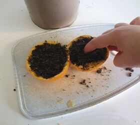 Stuff soil into an orange peel for this 10-minute way to start your spring garden
