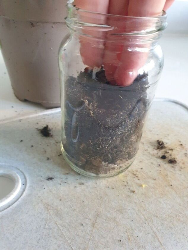 jarra de gelia para comear a semear