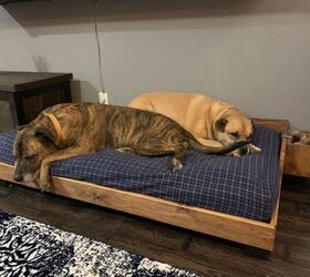 raised dog bed from crib mattress