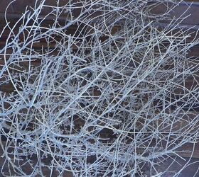 Why people are bringing tumbleweeds inside (strange, but cool!)
