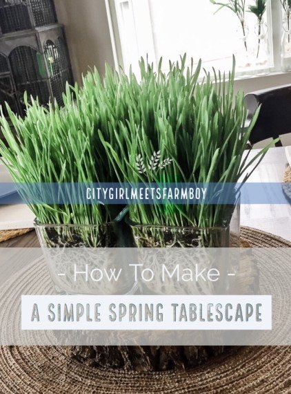 cmo cultivar una sencilla mesa de primavera
