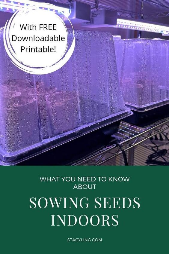 lo que necesitas saber sobre la siembra de semillas en el interior