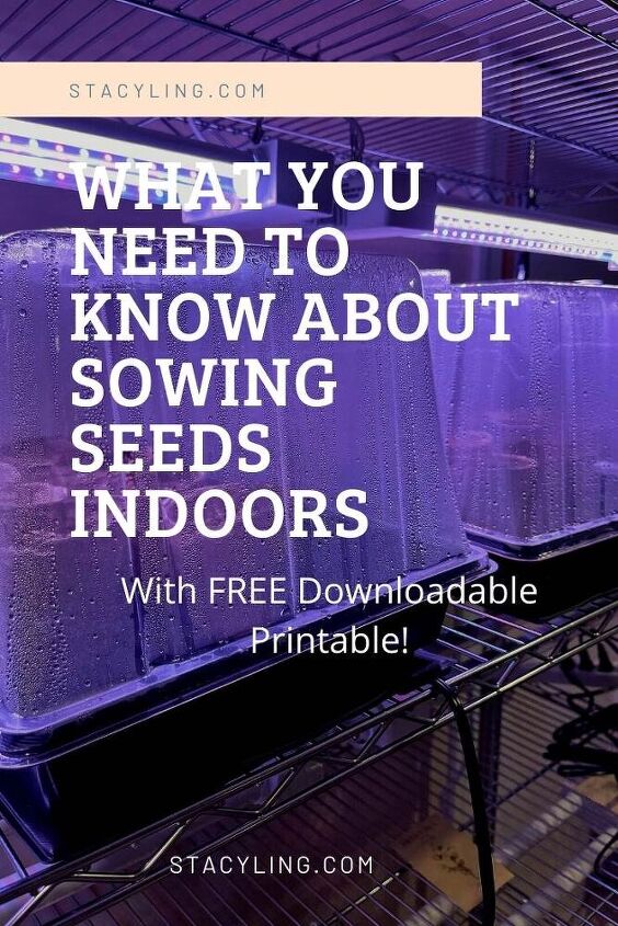 lo que necesitas saber sobre la siembra de semillas en el interior