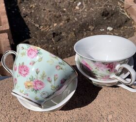 ready for spring in a teacup