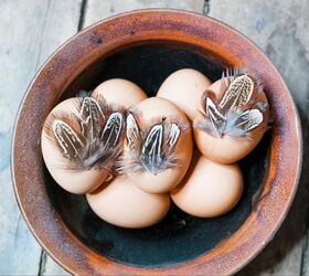 20 hermosas ideas de huevos de pascua que estamos tan emocionados de probar este ao, Huevos de Pascua de plumas DIY Decoraci n r stica de Pascua estilo granja f cil