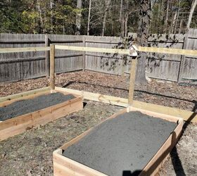 Budget Friendly Raised Garden Beds