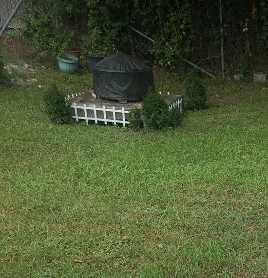 best way to hide a cement sewer drain placed in my yard by the city
