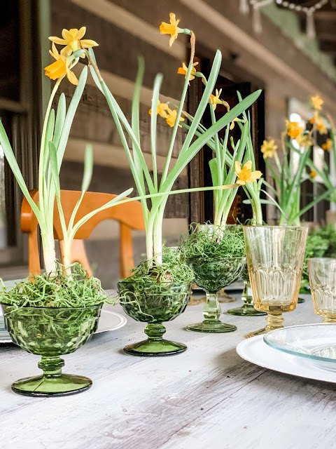centro de mesa de primavera bulbos de narciso en flor en vasos de poca