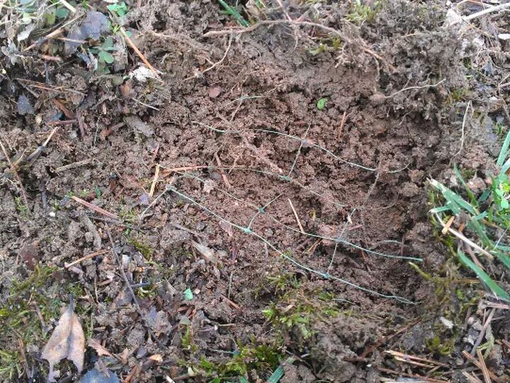 q is this plastic mesh underneath my grass toxic