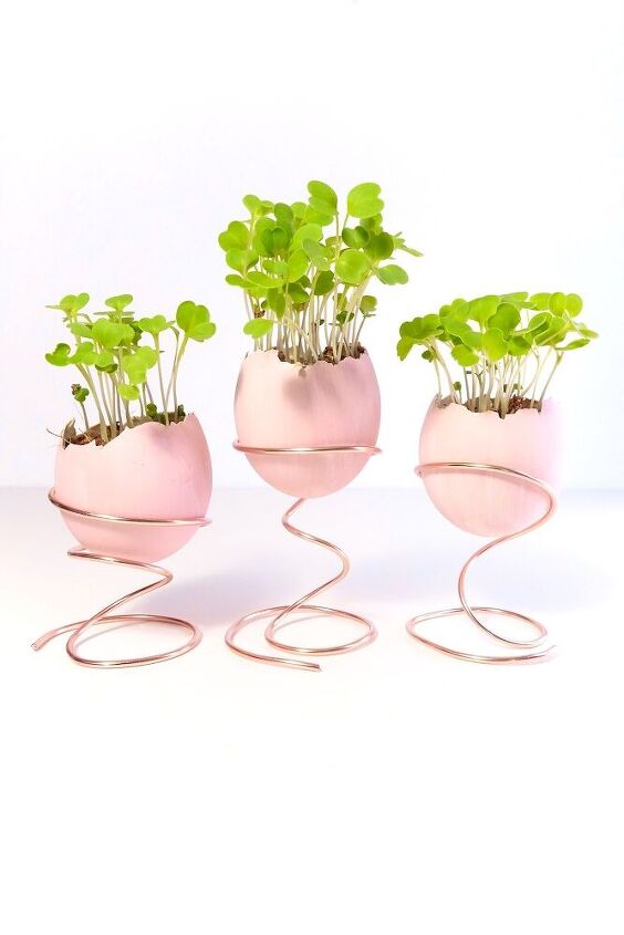 easter egg decoration microgreen planter