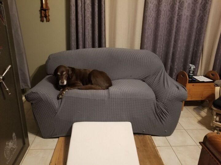 mi perro sof fix