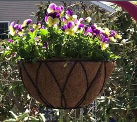 s 12 cutest garden ideas to try this spring, Tired of Leaky Coconut Liners Try This Hangi
