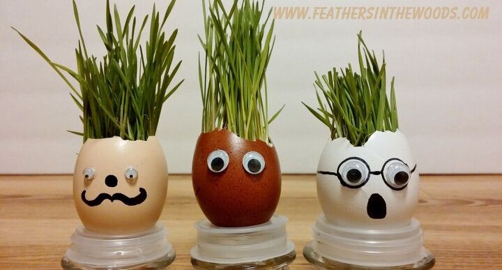 s 12 reasons to save your eggshells this week, Grow funny long haired egg people in them
