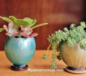 s 12 reasons to save your eggshells this week, Plant tiny succulents in them