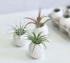 s 12 reasons to save your eggshells this week, Make them into adorable cement planters