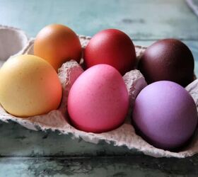 how to dye egg shells the easy and cheap way