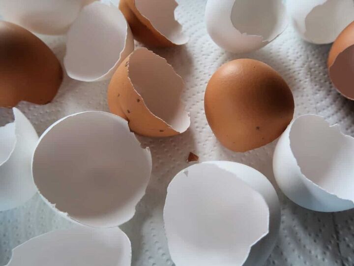 cmo teir cscaras de huevo de forma fcil y barata