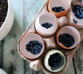 how to make cute eggshell planters for miniature plants