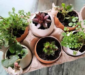 how to make cute eggshell planters for miniature plants