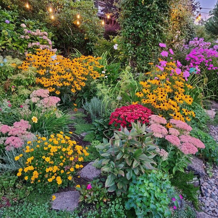 how to divide perennial plants