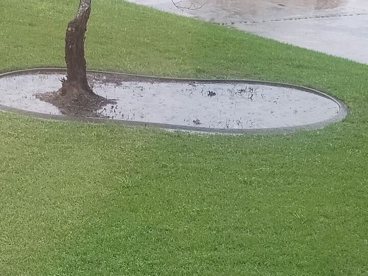 q how to stop water from sitting in my flower beds