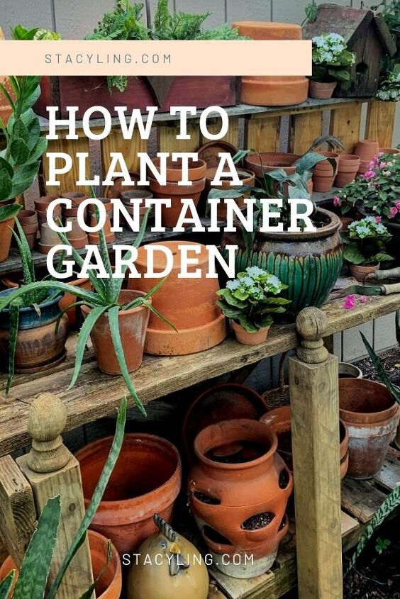 como plantar um jardim de contineres