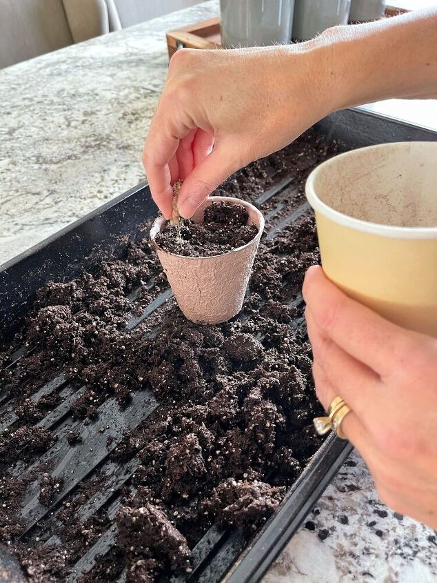 how to start seeds indoors without a greenhouse
