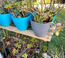 a pair of rusty old barstools become a plant stand, Easy plant stand up cycle