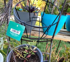 a pair of rusty old barstools become a plant stand, Wire plant holder